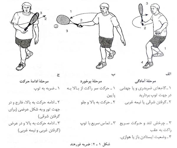 آموزش گام به گام تنیس (2)